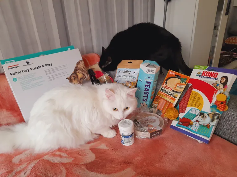 Piuks ja Juula fotokonkursilt saadud auhinnapakiga, mille pani välja PetCity.
