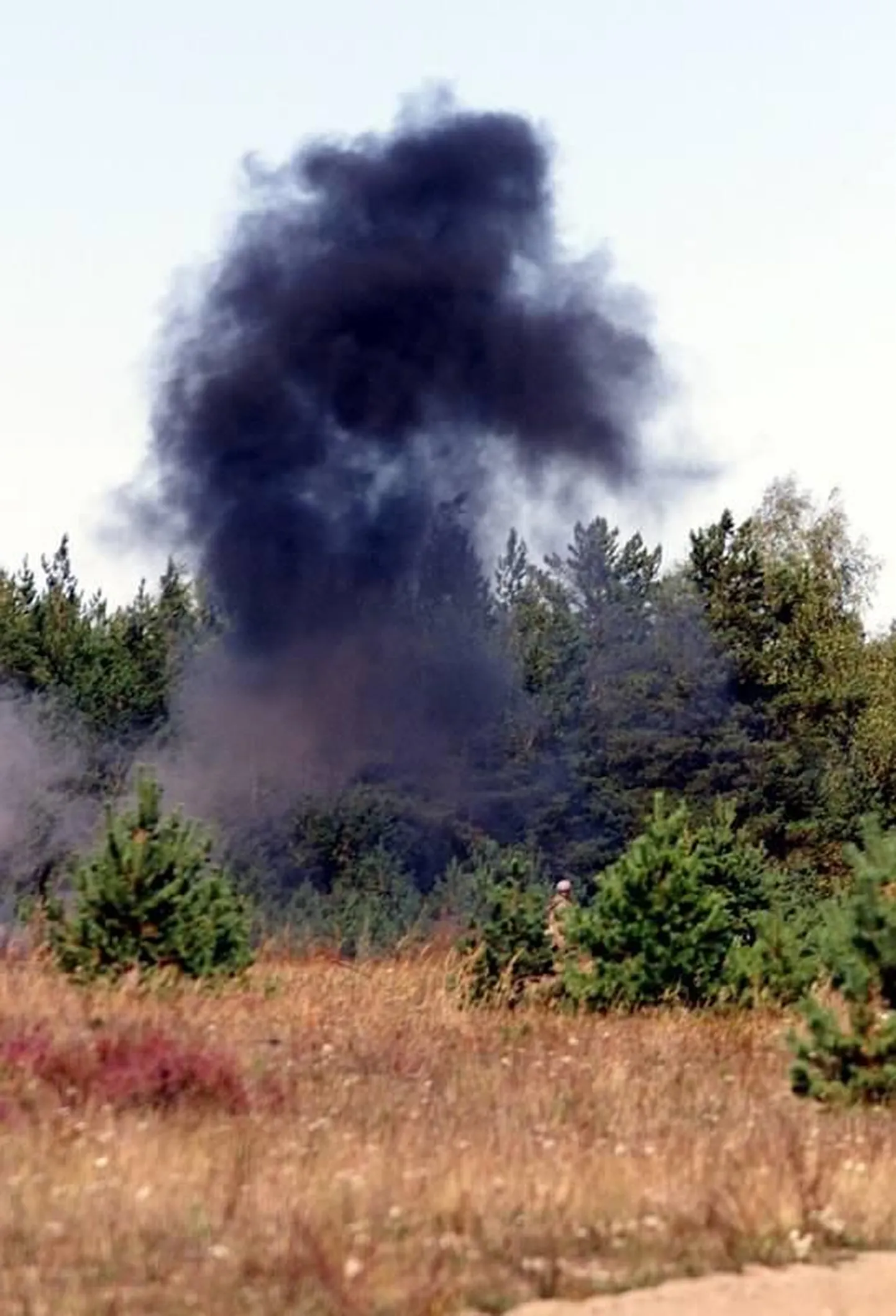 Foto on tehtud Männikul augustis 1999.