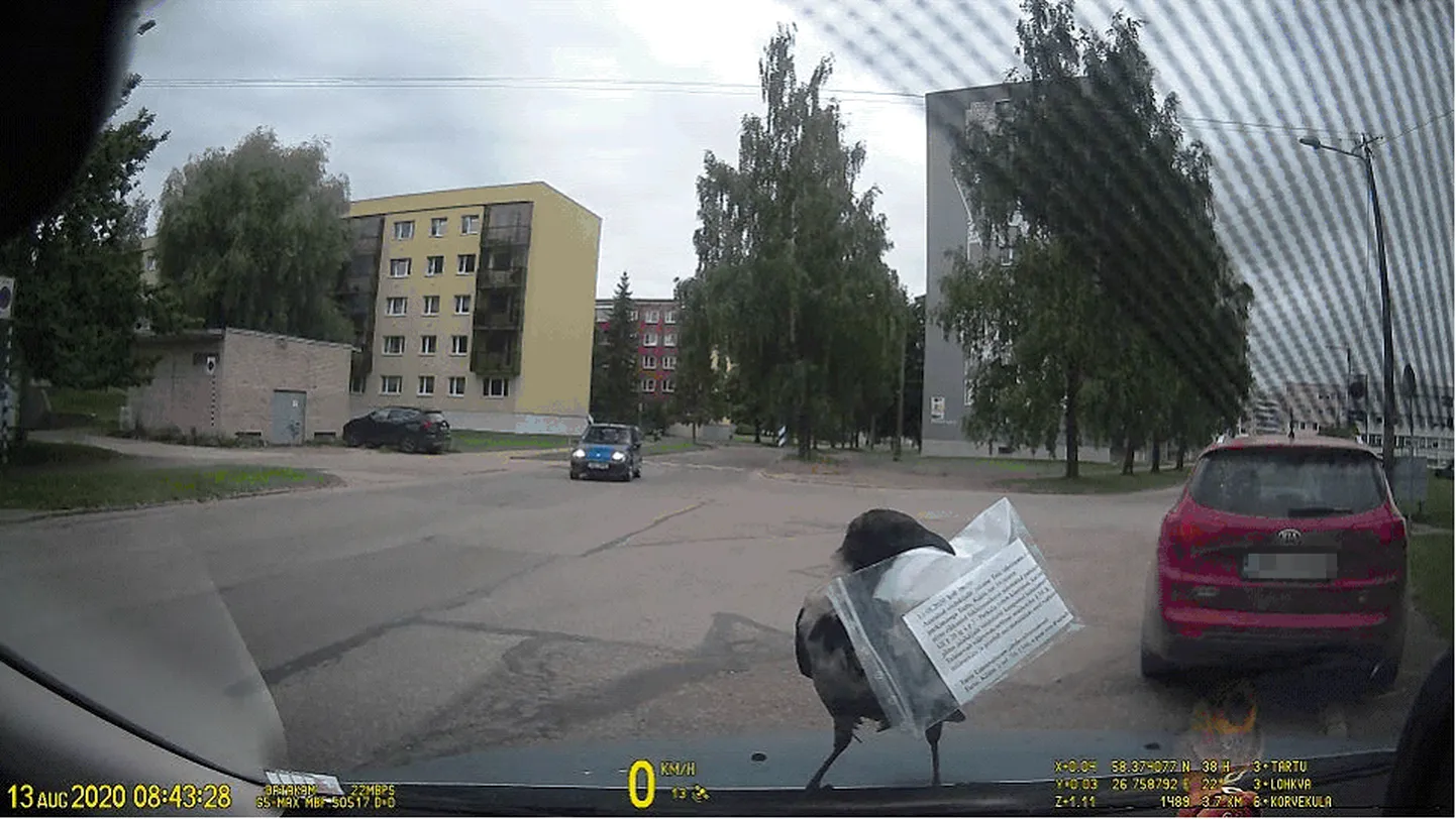 Vares trahvikviitungiga.