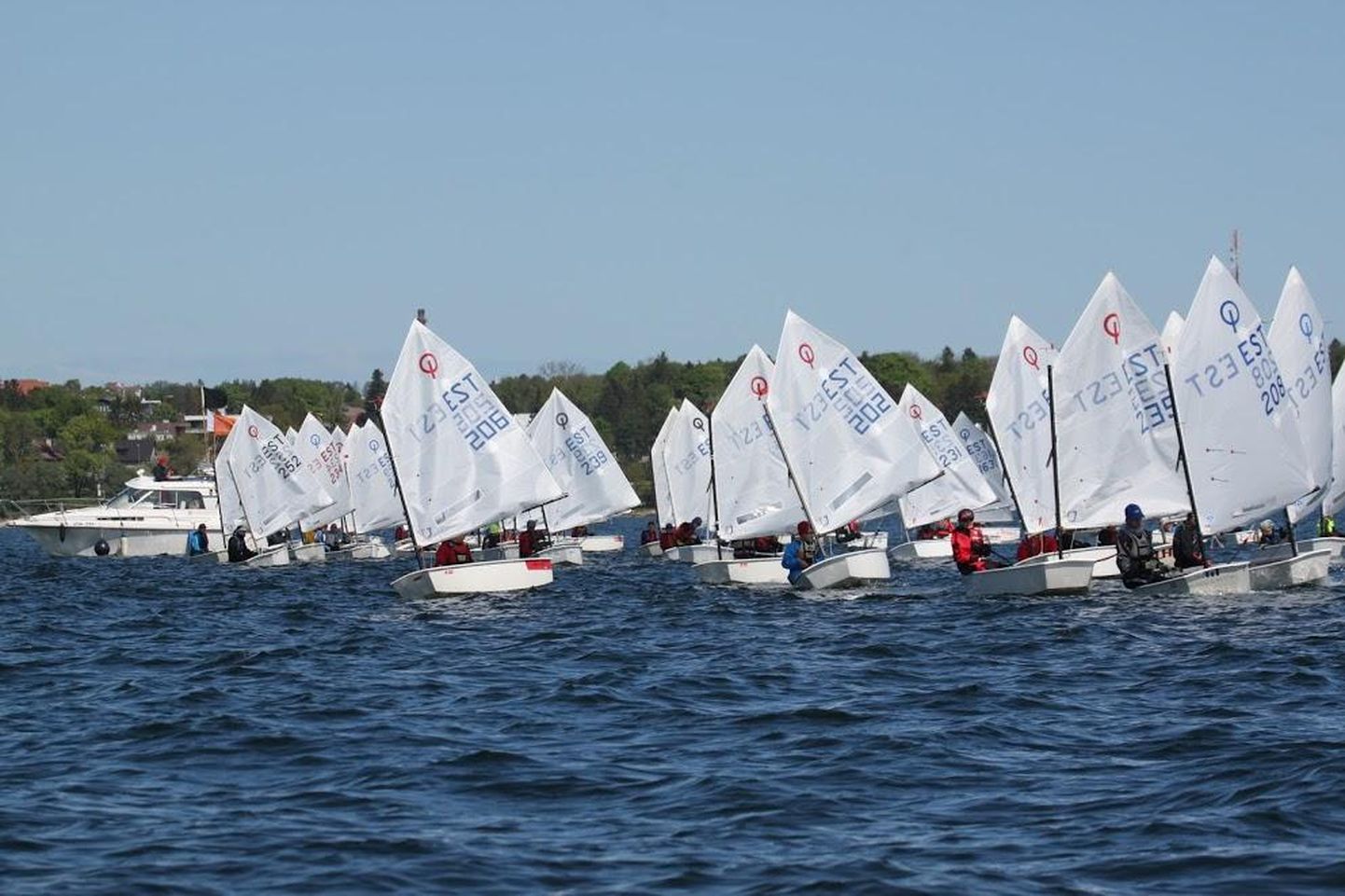 Kuldseekli regatil võistles Tallinna lahel 62 Optimist-klassi purjetajat.
