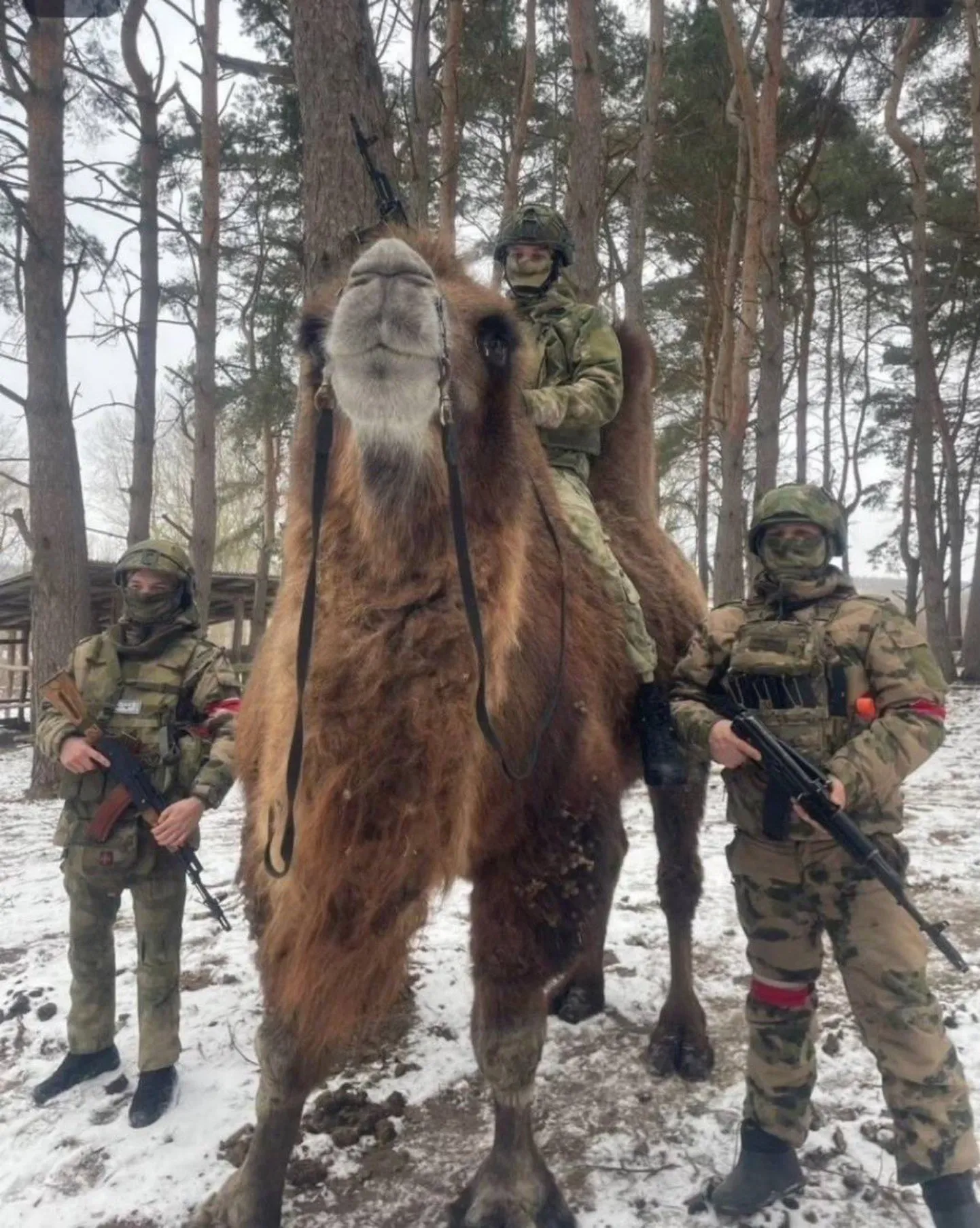 Фото статьи