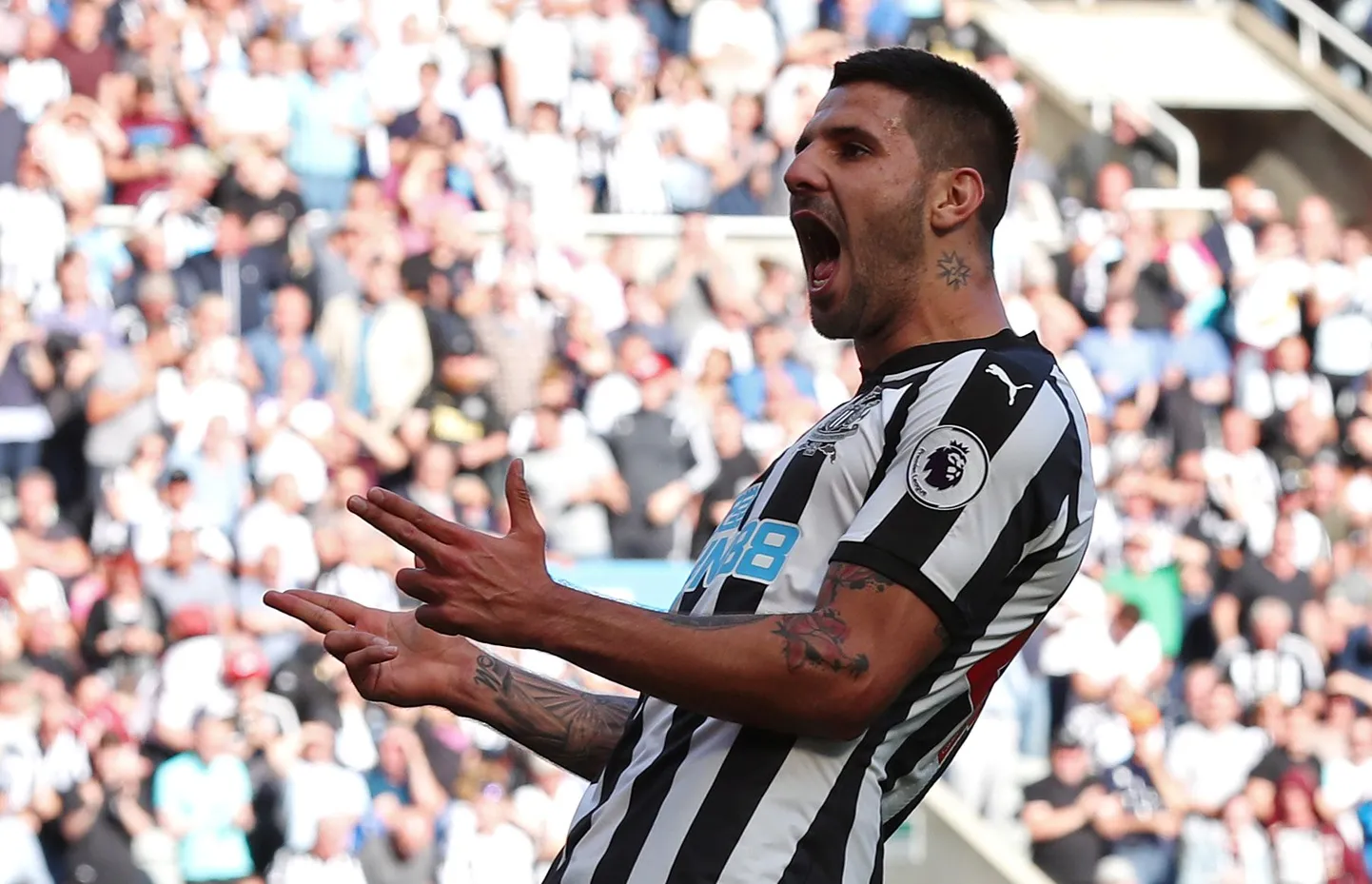 Aleksandar Mitrovic.