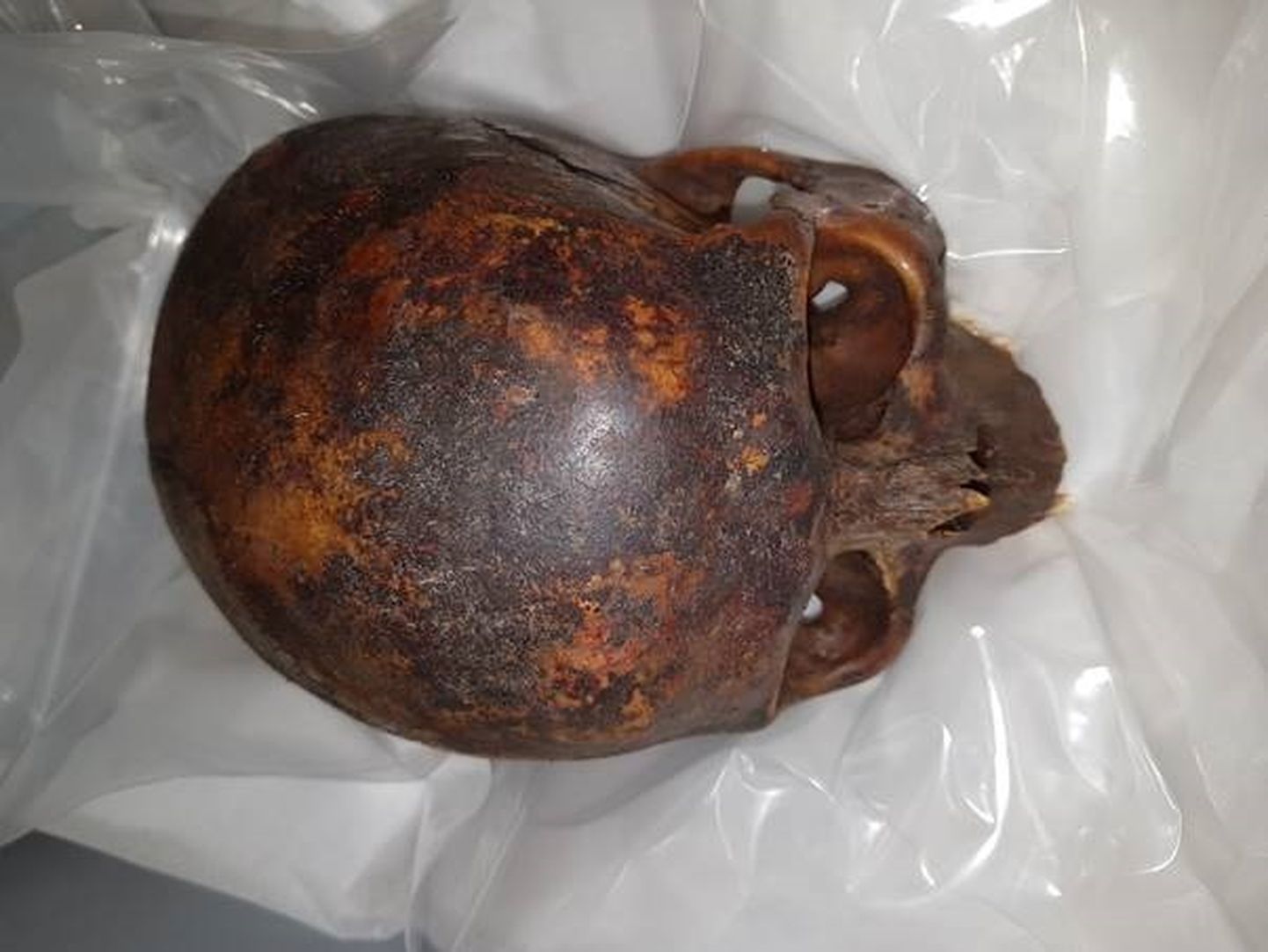 Iiri politsei leidis üles 800-aastase muumia pea.