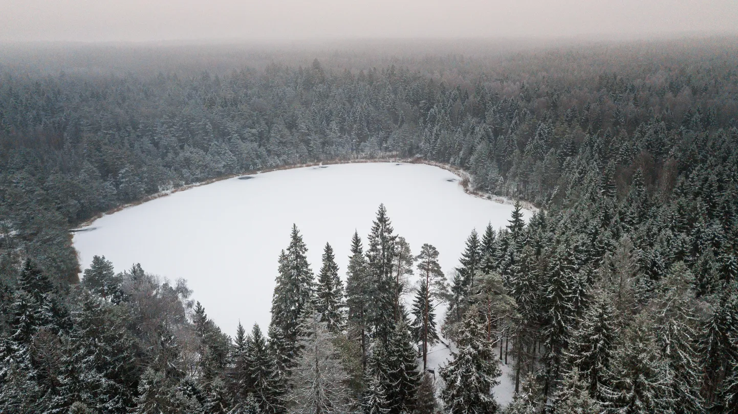Äntu Valgjärv.