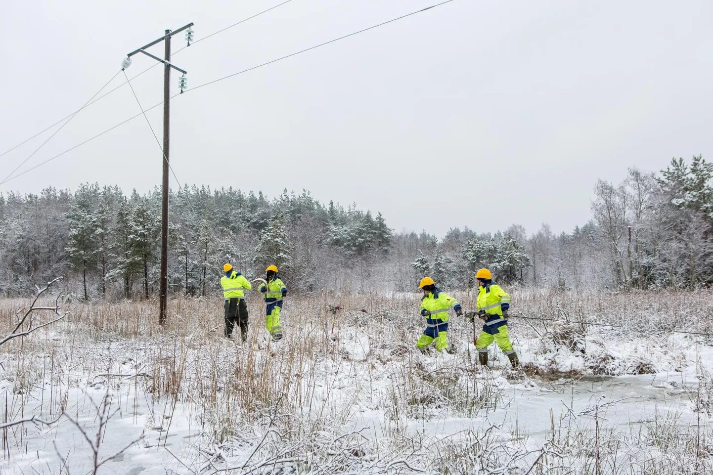 Pärumaa elektrivõrgus oli täna lõunal 30 rikkekohta. Foto on illustreeriv.