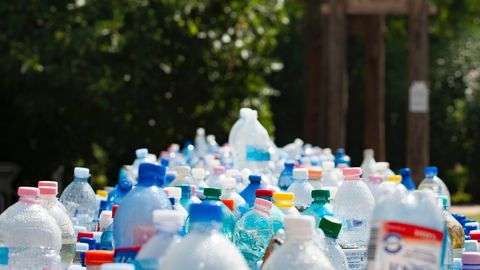 Teadlased leidsid ökosüsteemi, mis on kohastunud eluks plastijäätmetega