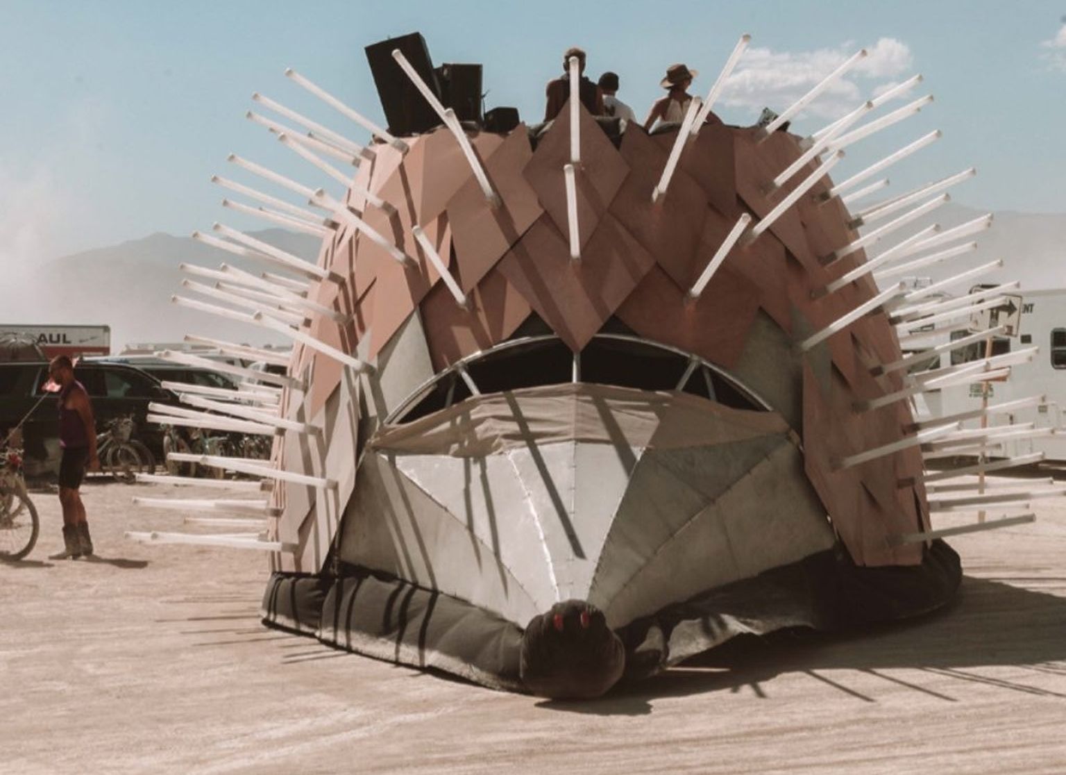 Reisiv siil USA kunstifestivalil Burning Man.