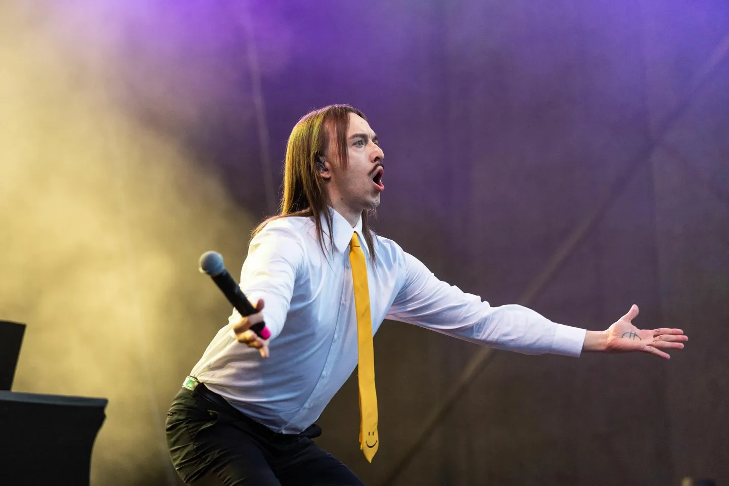 Tommy Cash Rakvere vallimäe vabaõhukeskuses.