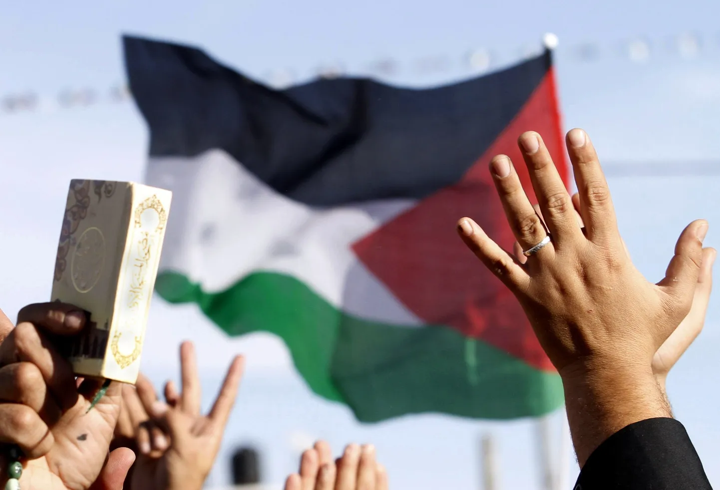 Palestiina lipp.