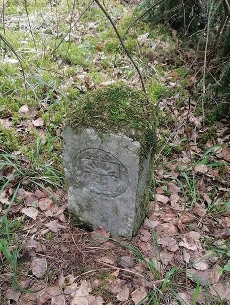 Raksta foto