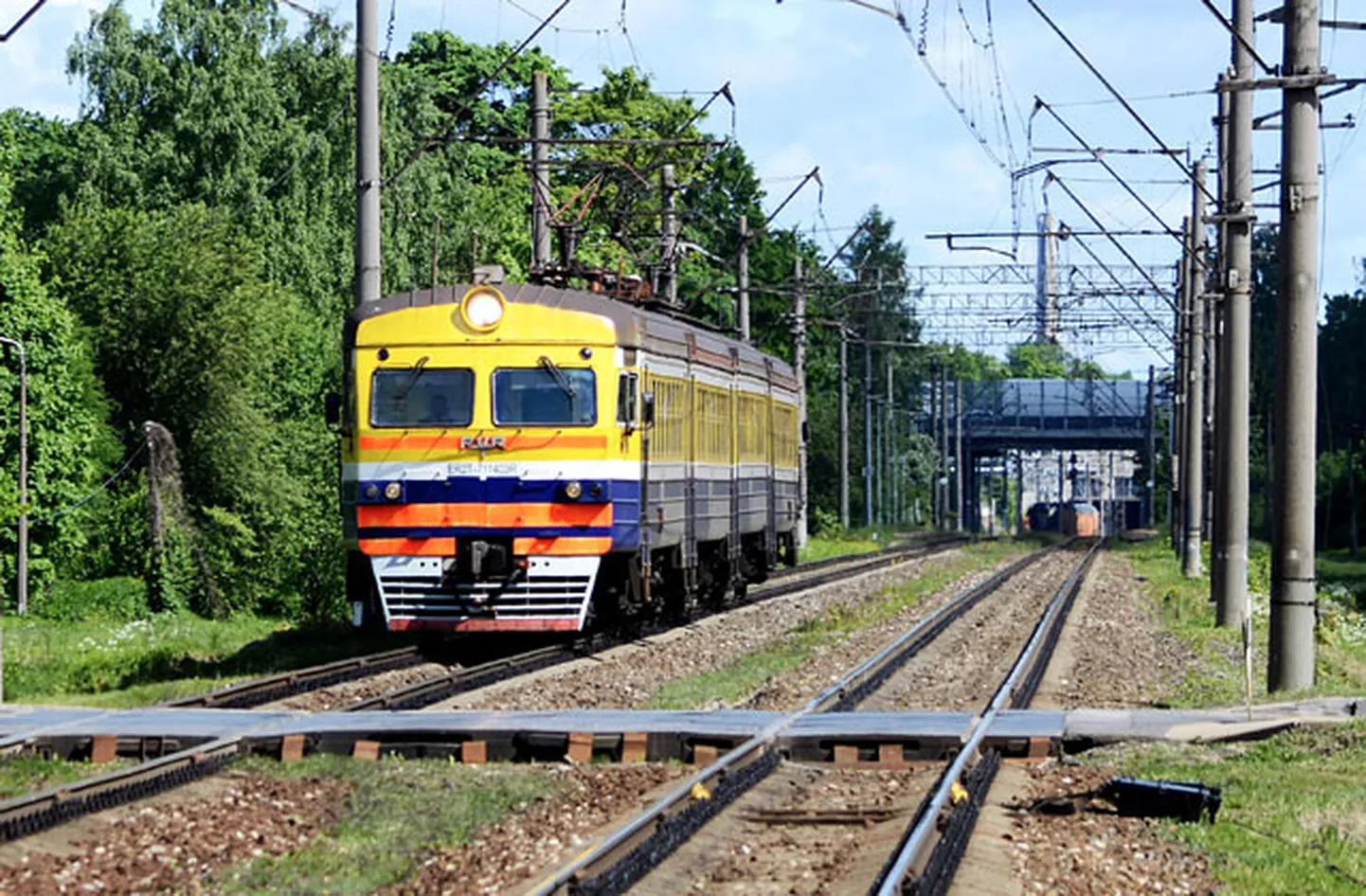 Фото статьи
