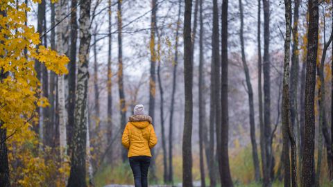 Svētdiena būs apmākusies un drēgna