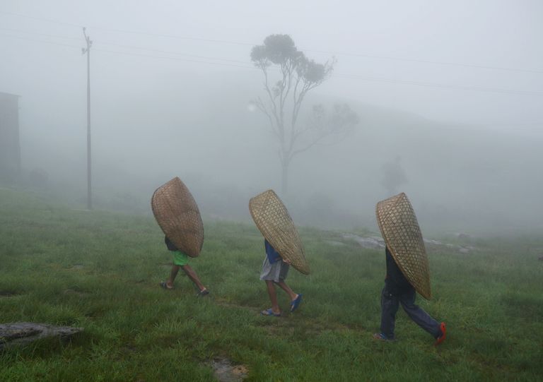 Töölised kannavad Mawsynramis traditsioonilisi knup-vihmavarje