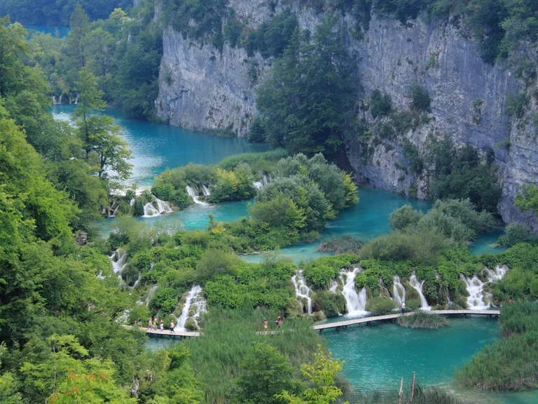 Artikli foto