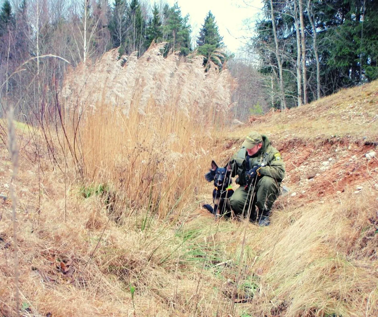 Pildil teenistuskoer Ahto koos koerajuhiga.