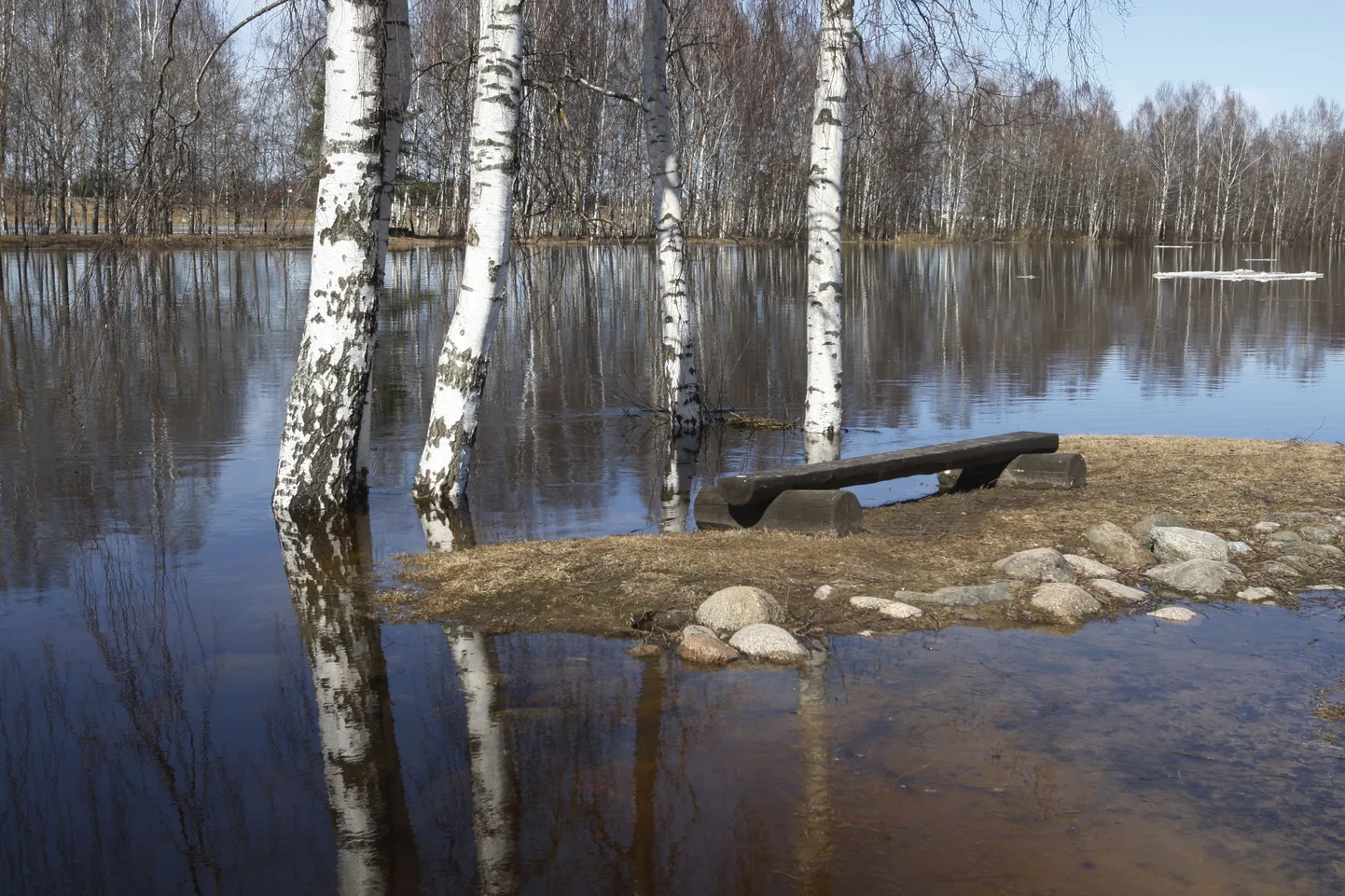 Kevadine suurvesi. Pildil üle kallaste tõusnud Emajõgi Kvissentalis.