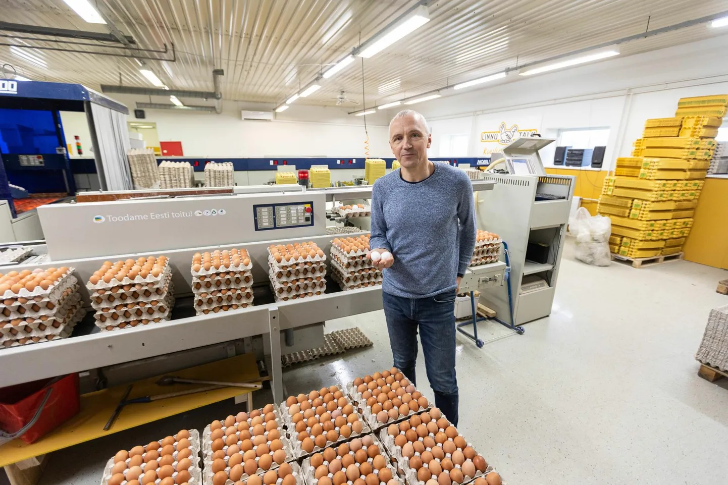 80 protsenti Linnu talu kanadest muneb
pruune mune. Lihavõtete ajal suureneb korraks hüppeliselt soov valgete munade järele, ülejäänud aastast on kliendid ärijuht Jarno Hermeti sõnul
pruunide munadega väga rahul.