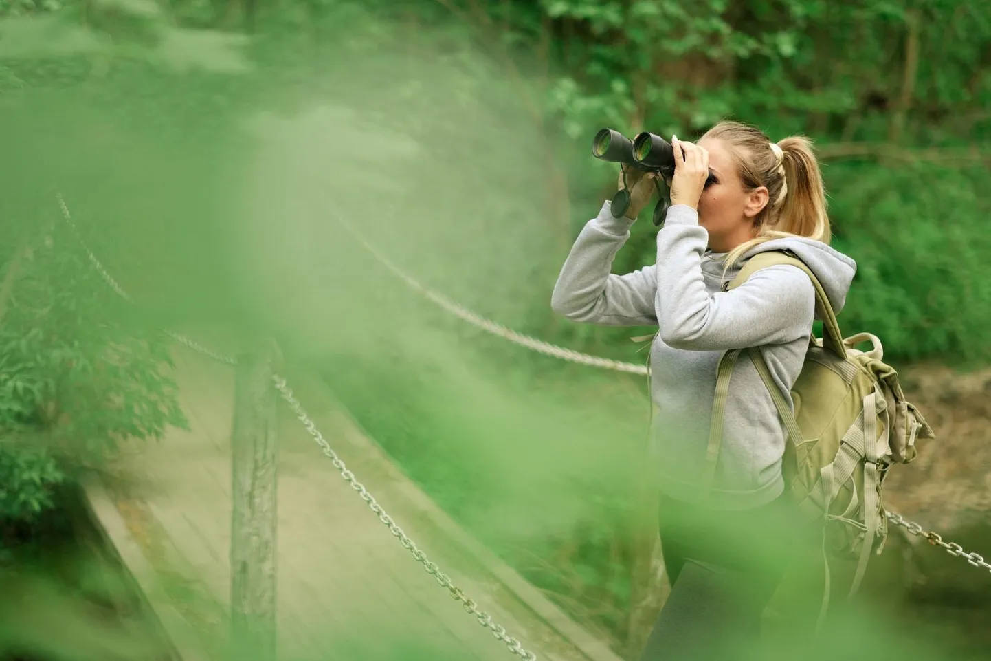 Loodusvaatluste maratonil nähtud liikide info saab edastada telefonirakenduse BioBlitz kaudu.