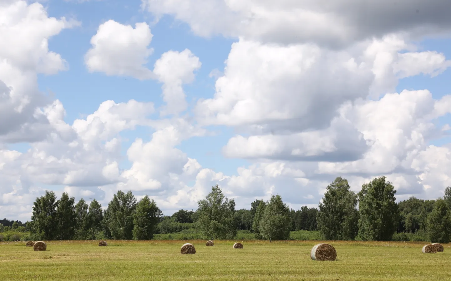 Ainava ar siena ruļļiem.