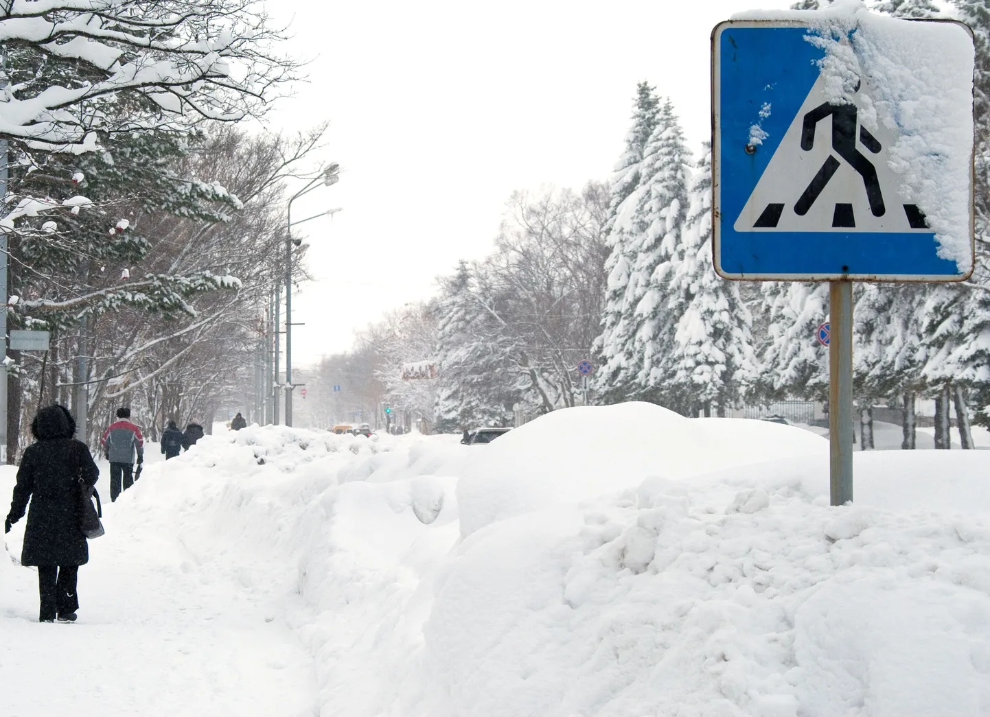 Sahhalini suurim linn Južno-Sahhalinsk.