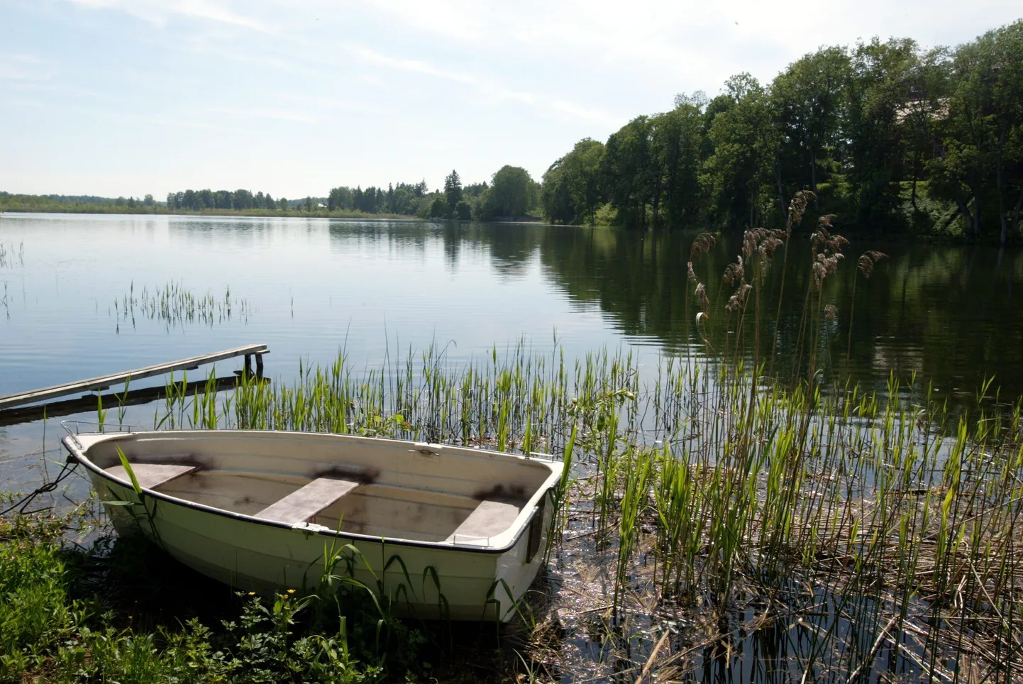 RAK01:SUVI,JÄRV,TURISM,LOODUS  :03JUN10,PORKUNI, EESTI

FOTOL : VAADE PORKUNI JÄRVELE
am/FOTO ARVET MÄGI / VIRUMAA TEATAJA