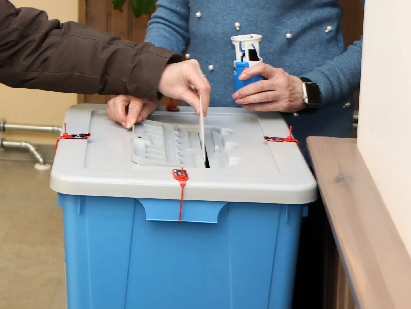 Pühapäeval saab hääletada vaid valimisjaoskondades. Elektrooniliselt täna enam hääletada ei saa.