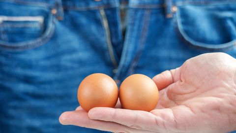 Viraalne küsimus: miks on meeste munanditel «õmblus»?