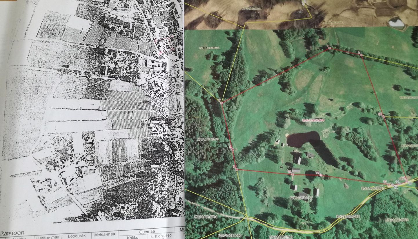 Enne 2019. aastat põhinesid maa-ameti katastriüksuste andmed 2002. aastal salvestatud aerofotodel (vasakpoolne kaart). Nüüd uuenesid maakõlvikud uutelt aerofotodel põhineva infoga (paremal). Piltidel olevad kohad asuvad Eesti eri paigus.