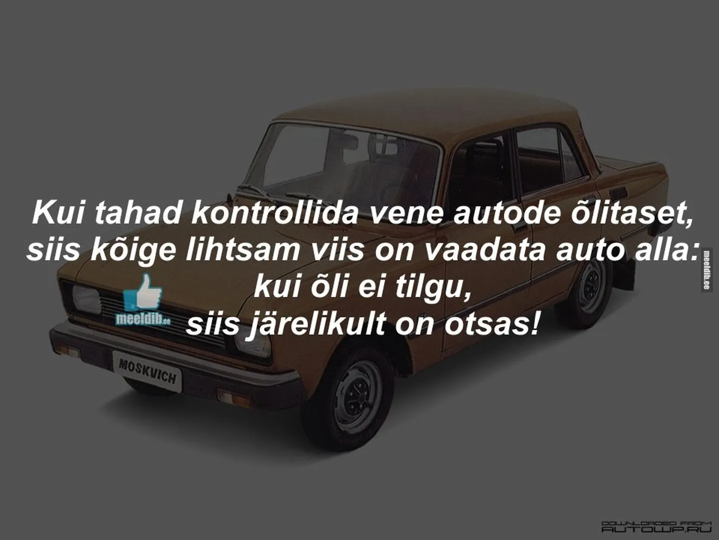 Artikli foto