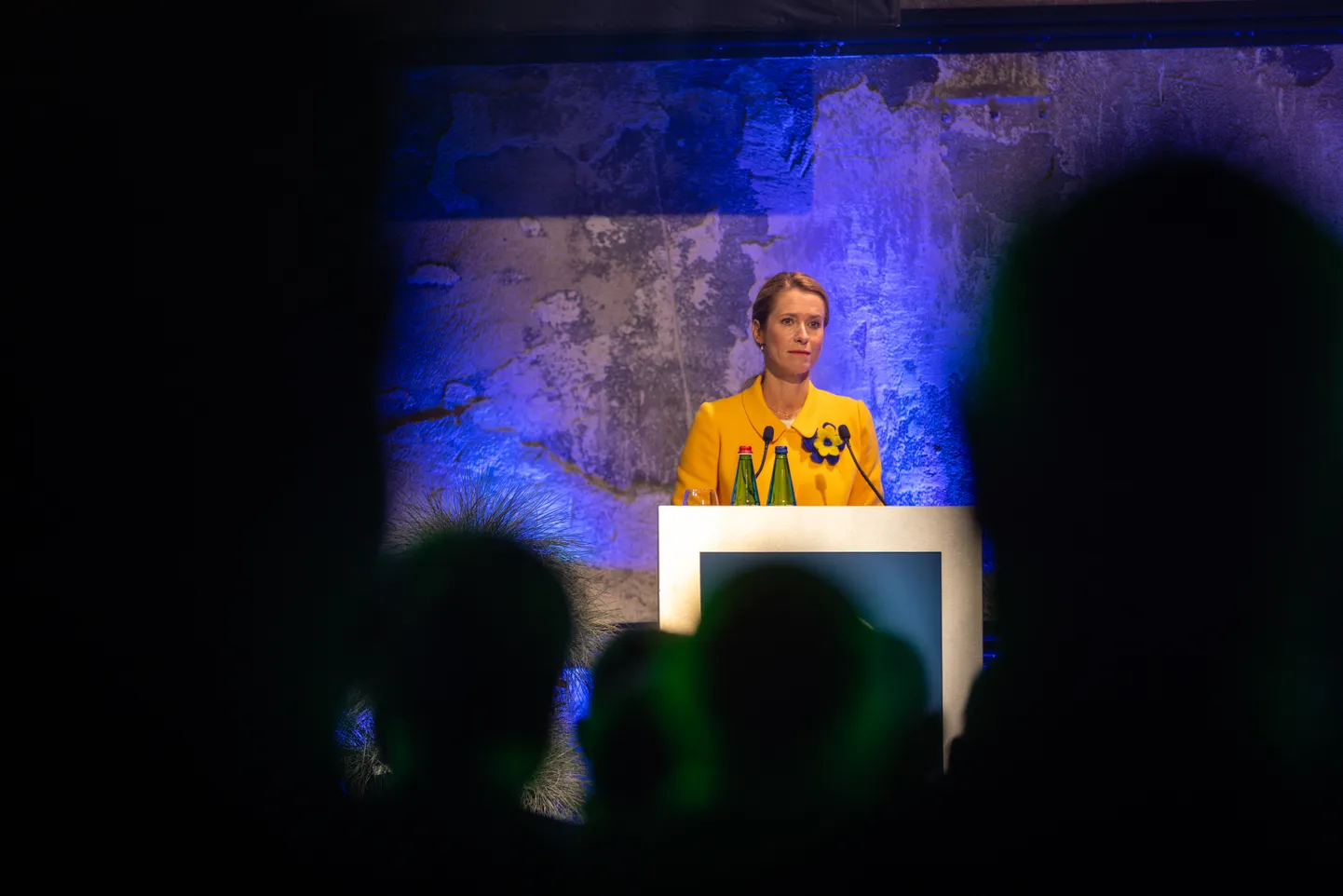 Peaminister Kaja Kallas.