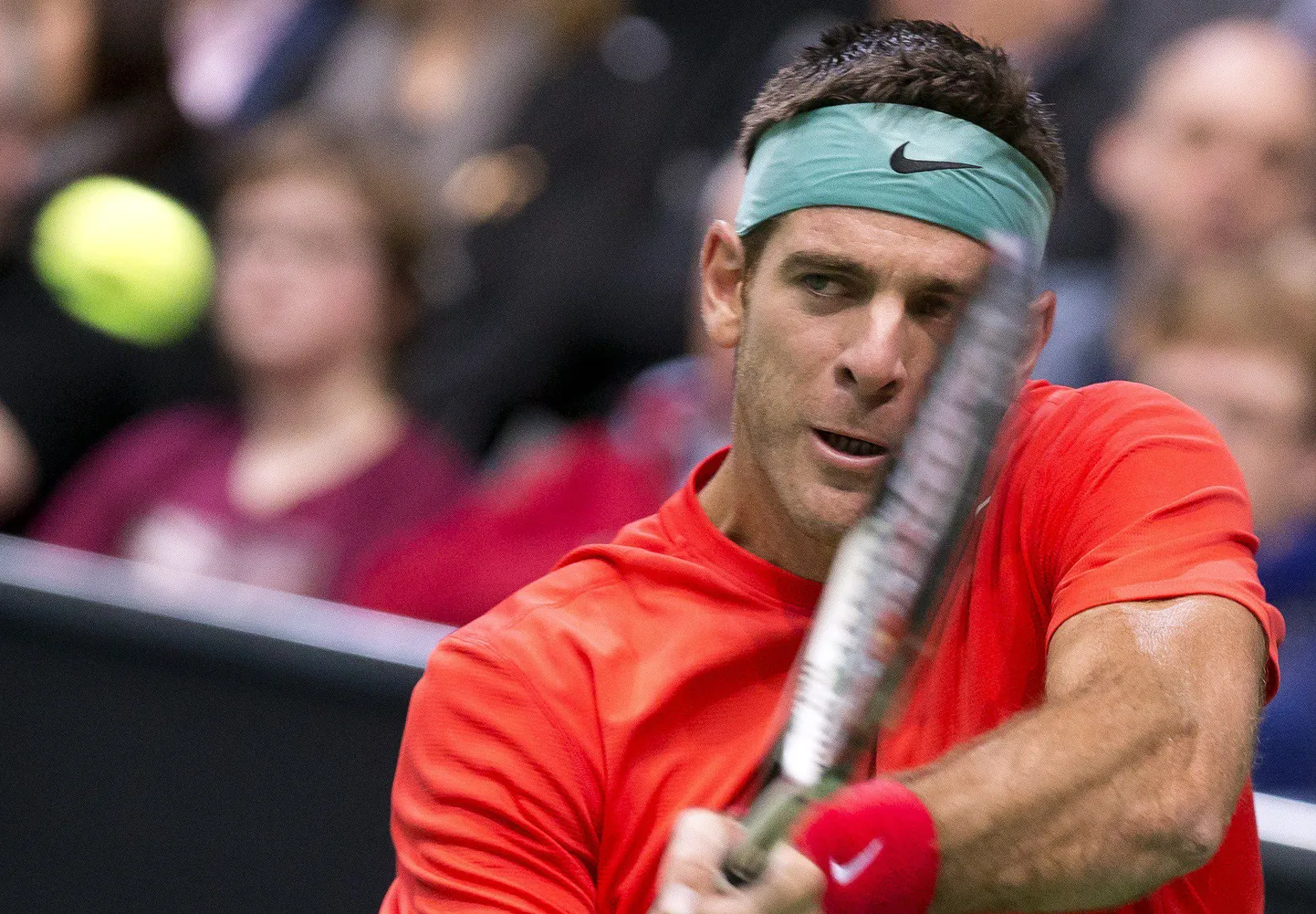 Juan Martin Del Potro.