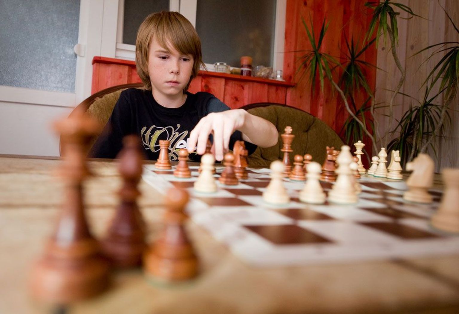 12-aastasele  Ottomar Ladvale Eestis omavanuste seas males vastast ei leidu. Siinsetele tippudele täiskasvanute seas tahab ta tuule alla teha hiljemalt kümne aasta pärast.