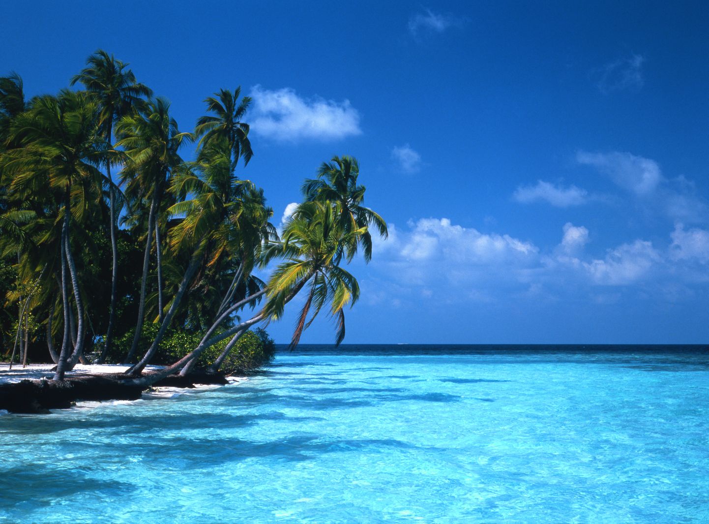 India ookeanis asuvad Maldiivid.