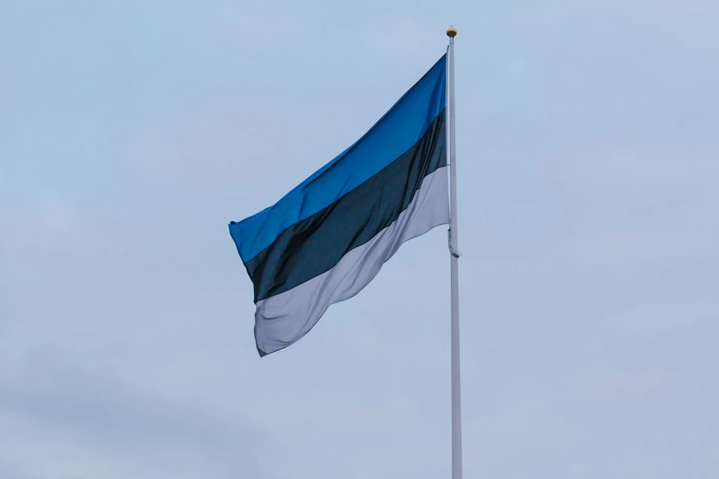 Laulupeotraditsiooni tähistamiseks kehtestas vabariigi valitsus ühekordse lipupäeva.