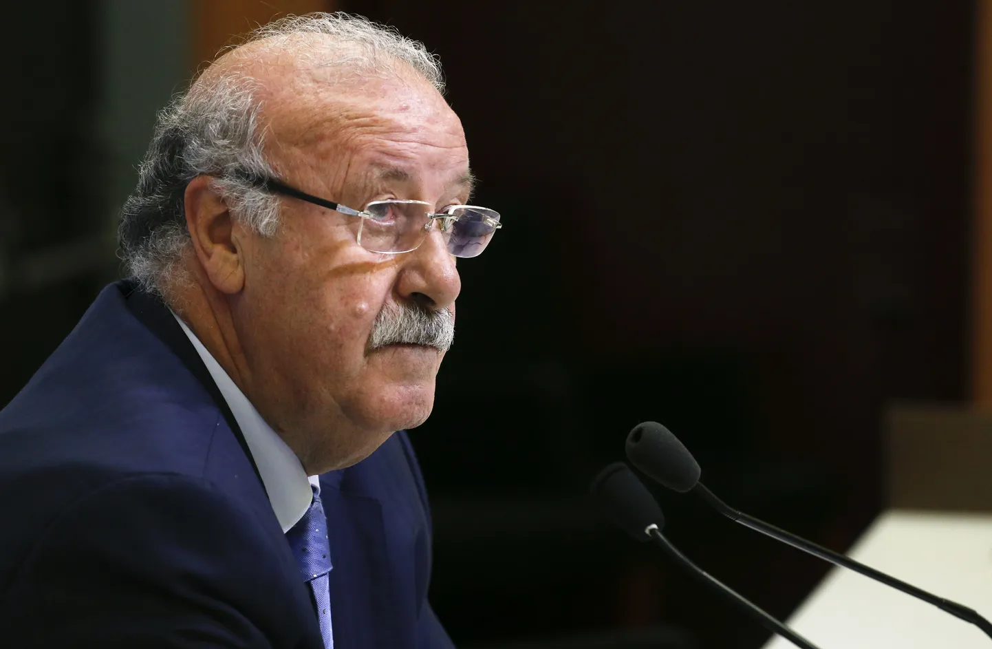 Hispaania koondise peatreener Vicente del Bosque.