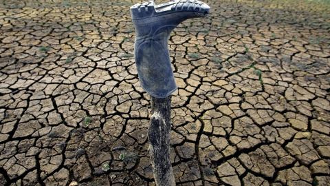 Комиссии по сельской жизни соберется на чрезвычайное собрание в связи с убытками от засухи