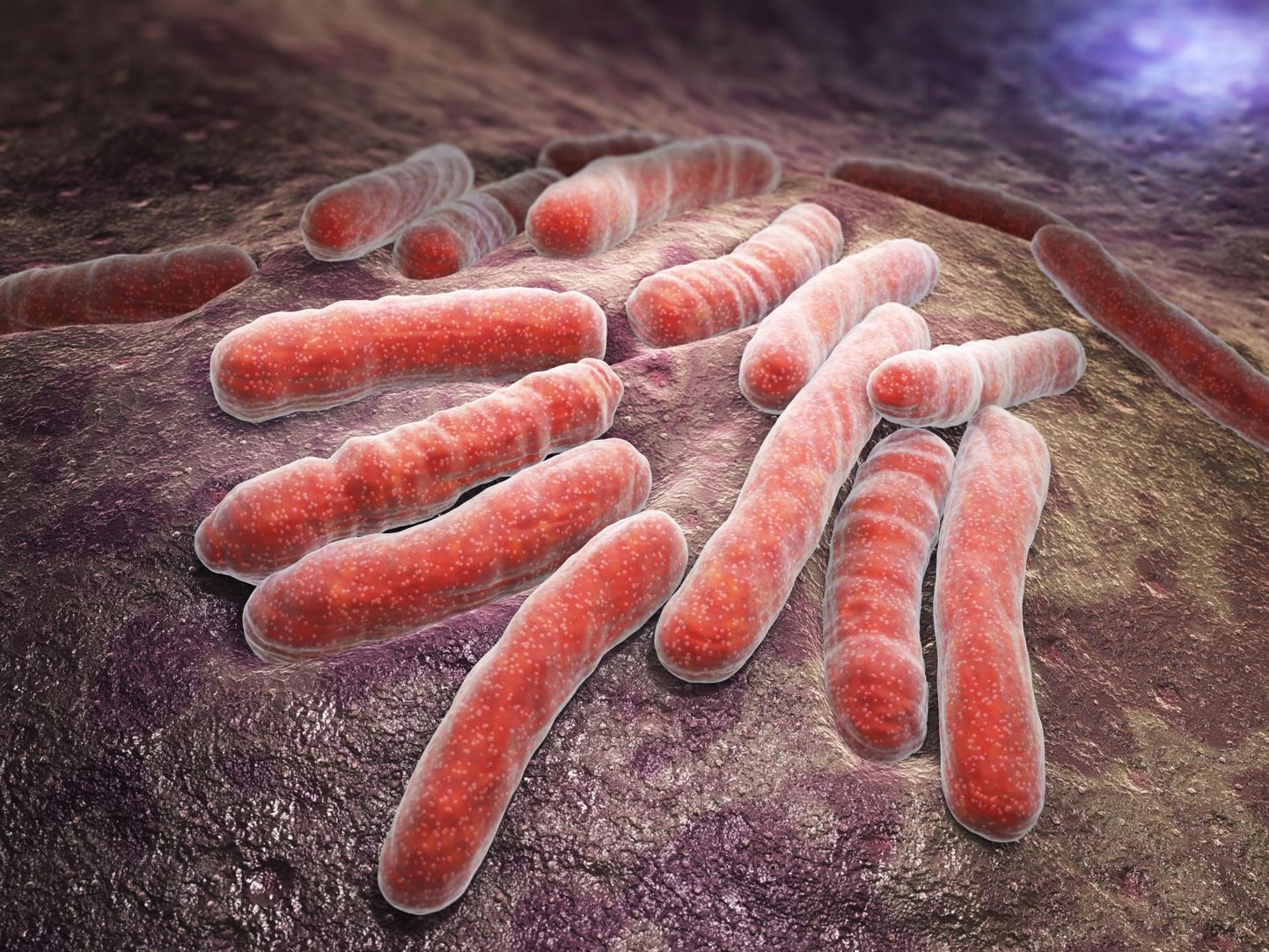 Tuberkuloosibakterid võivad eemal hoida koroonapisikud.