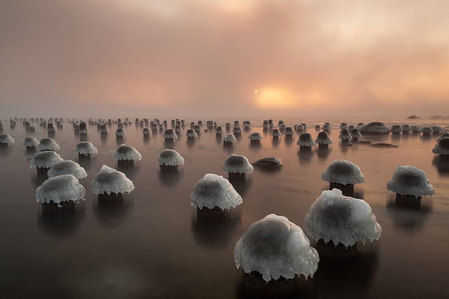 Loodusfotograaf Andrei Reinoli foto jäi silma National Geographicu toimetajatele, kes valisid selle ajakirja "Nägemuste" rubriiki.
