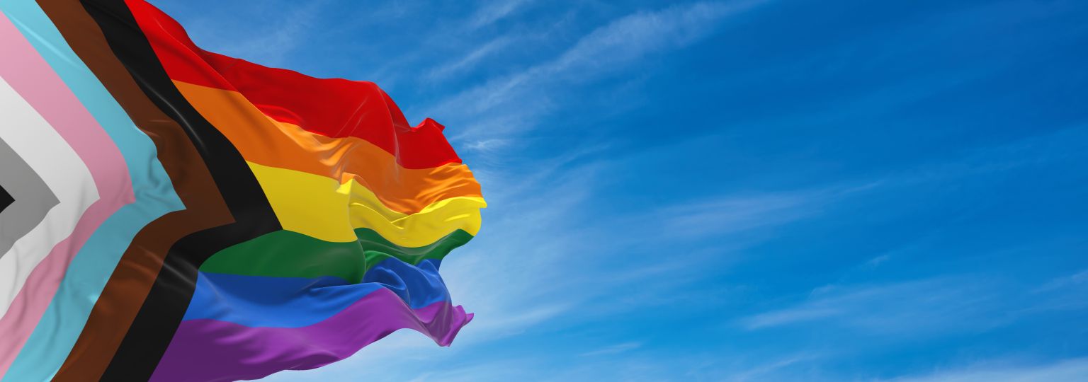 Флаг ЛГБТ и трансгендерного сообщества