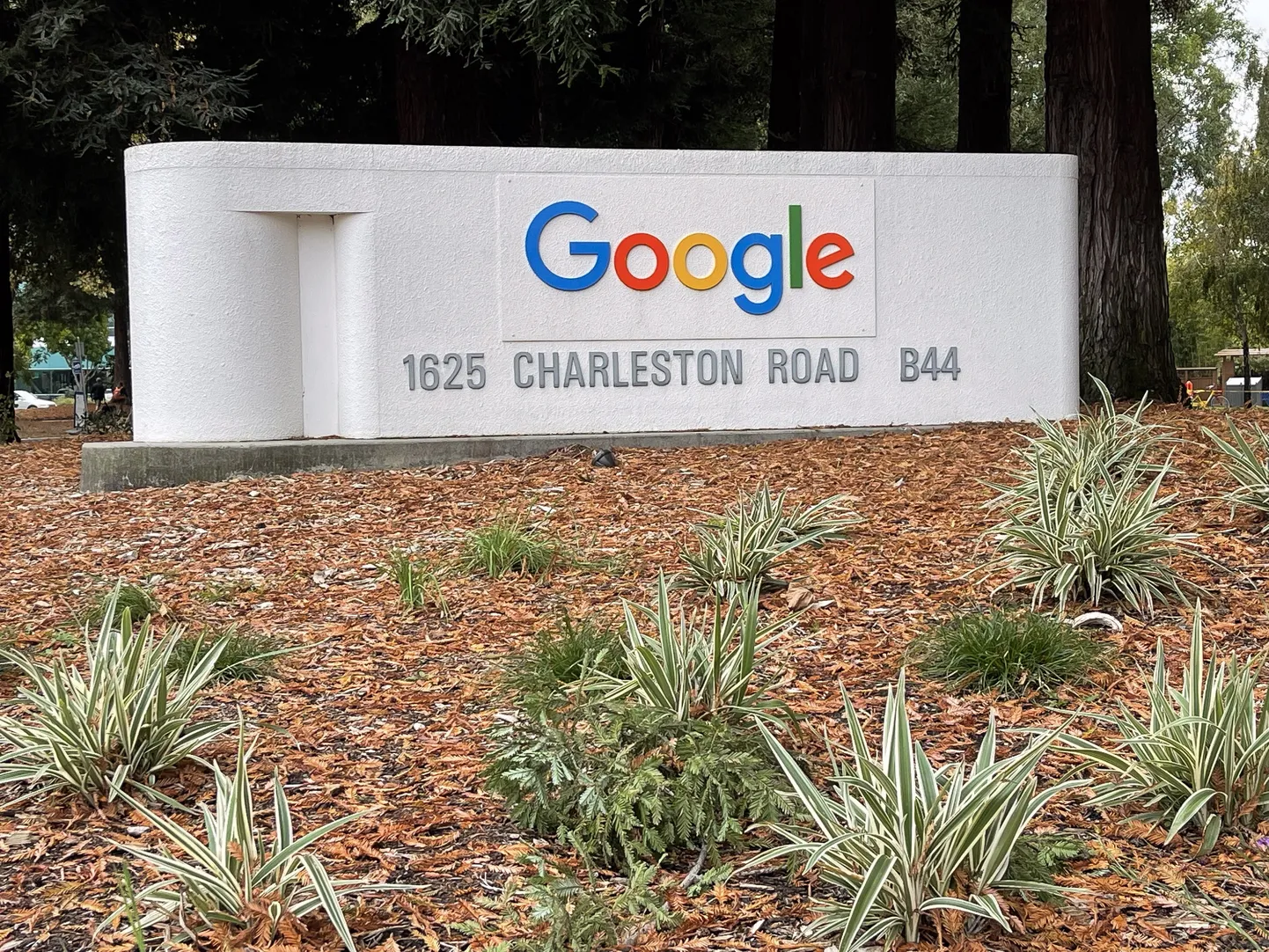 Google tõi Alphabetile rekordkasumi