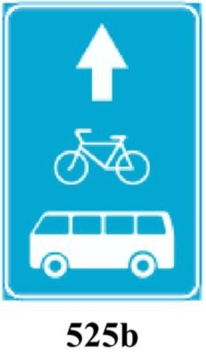 Таллинн намерен популяризировать велосипедный транспорт.