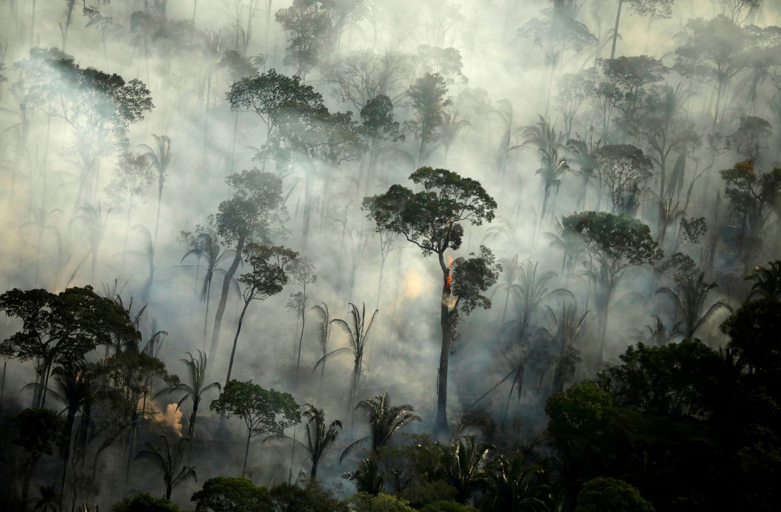 Amazonase metsatulekahju.