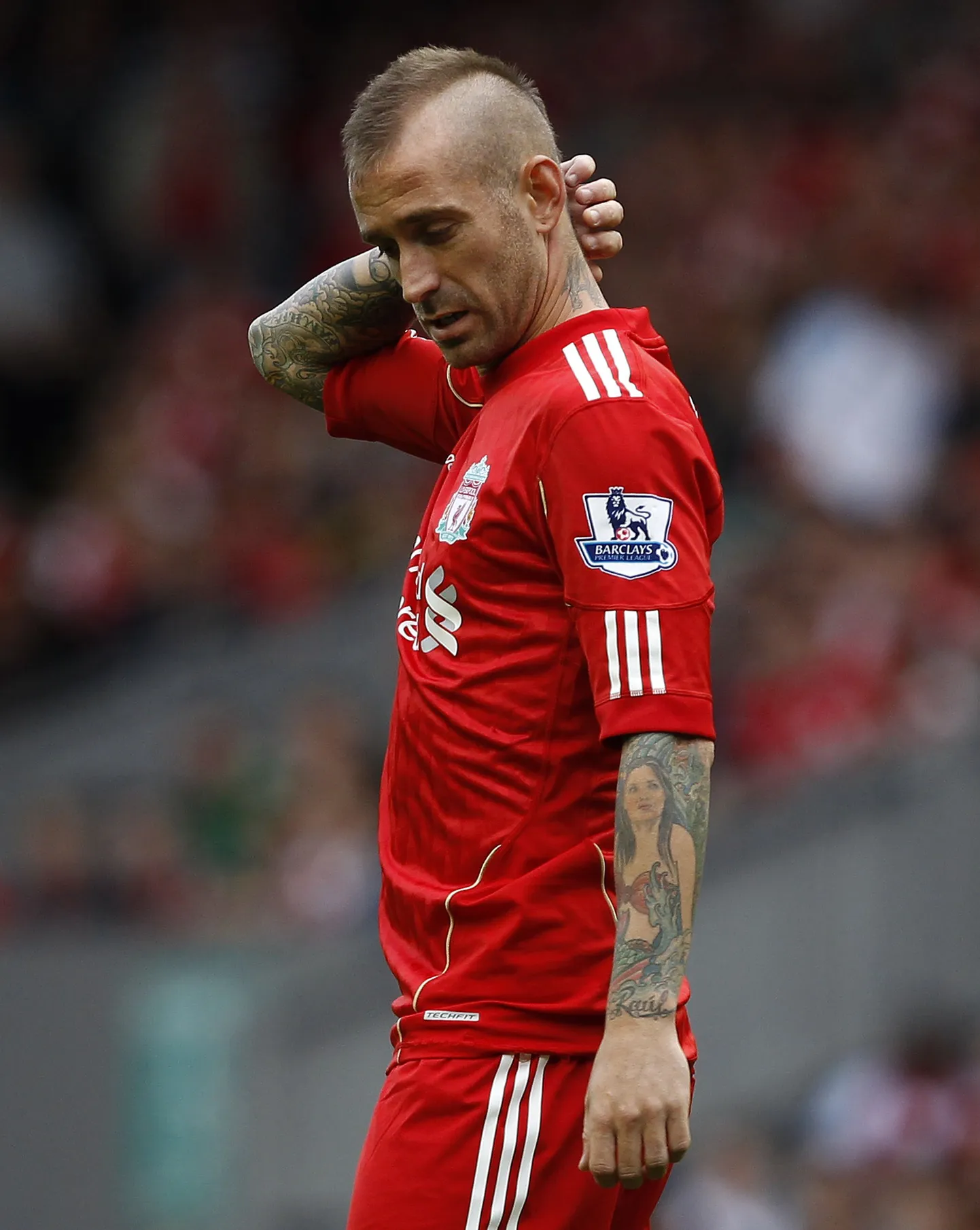 Reul Meireles