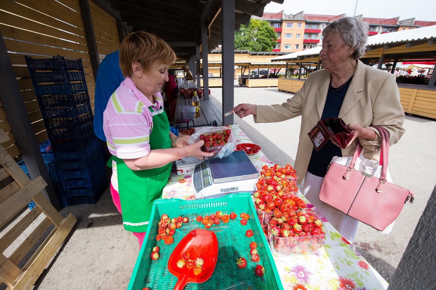 Merike müüb Rakvere turul Kalvi talu maasikaid.