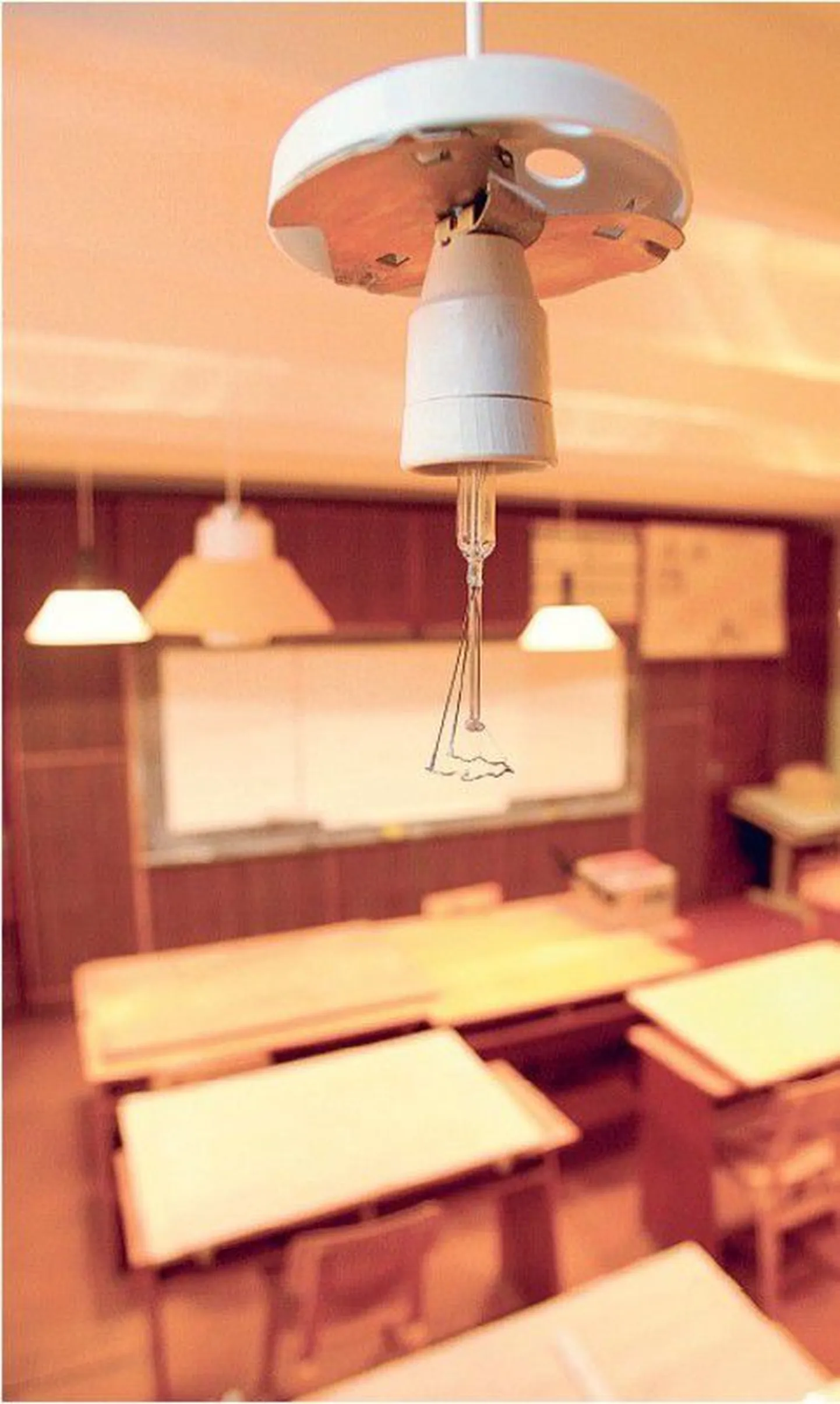 Tõenäoliselt katki lastud lamp Räpina aianduskoolis..