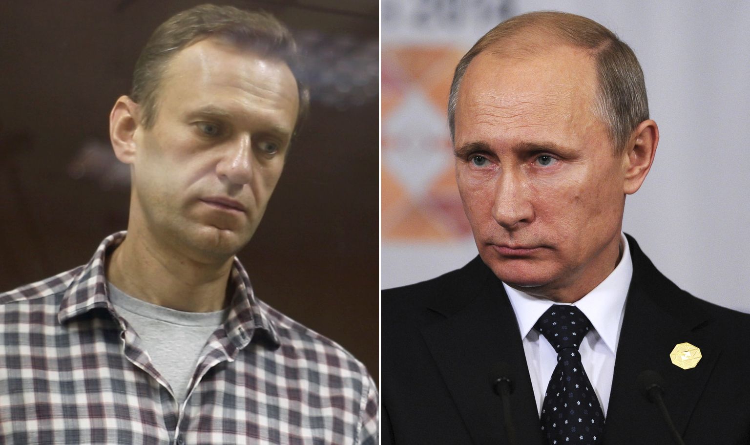 Алексей Навальный, Владимир Путин