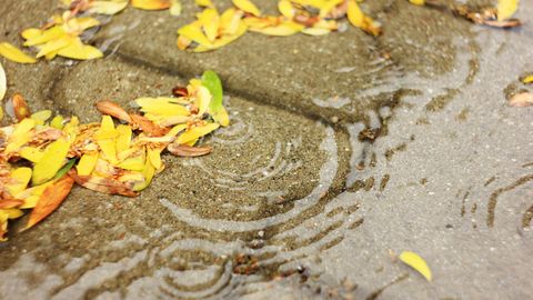 Svētdien Latvijā līs lietus, debesis skaidrosies tikai vietām