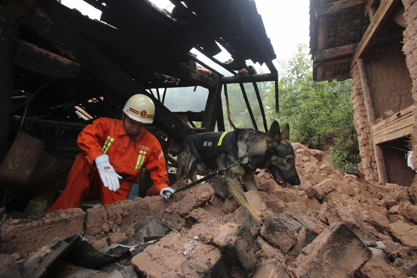 Китайский спасатель с собакой.