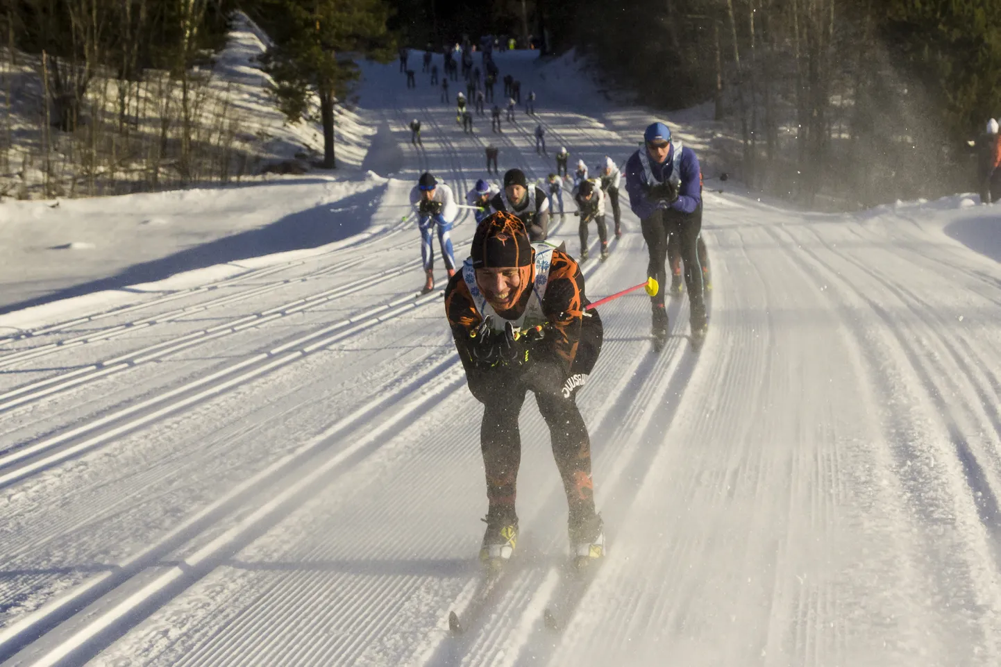 2015. aasta Tartu Maraton
