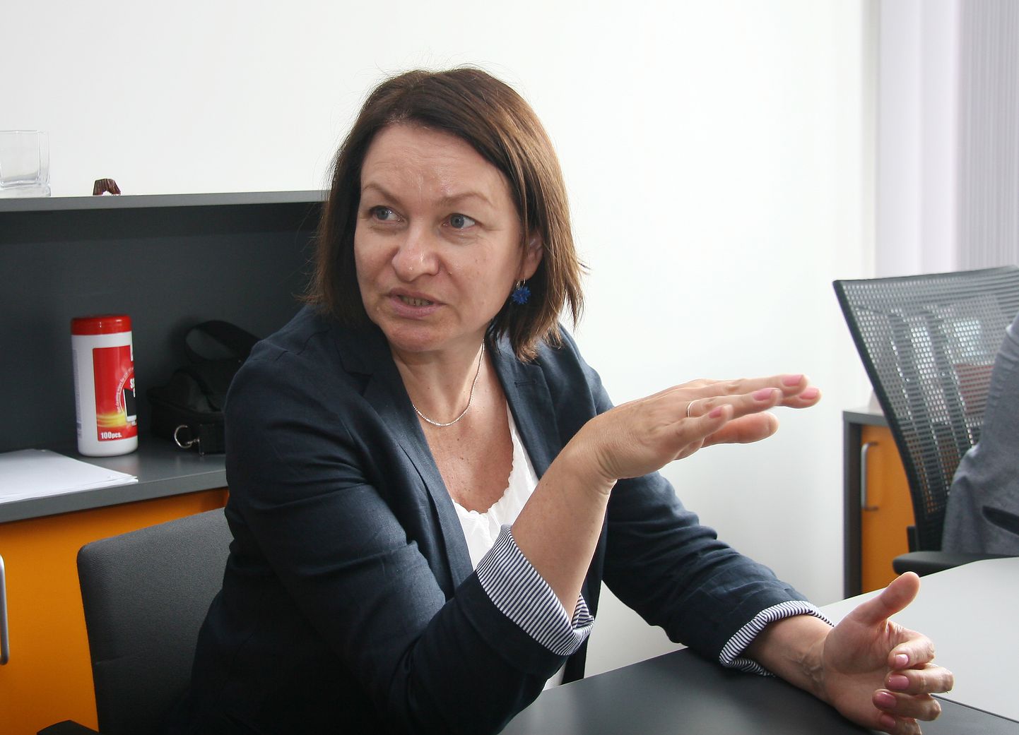 Töötukassa Ida-Virumaa osakonna juhataja Anneki Teelahk.